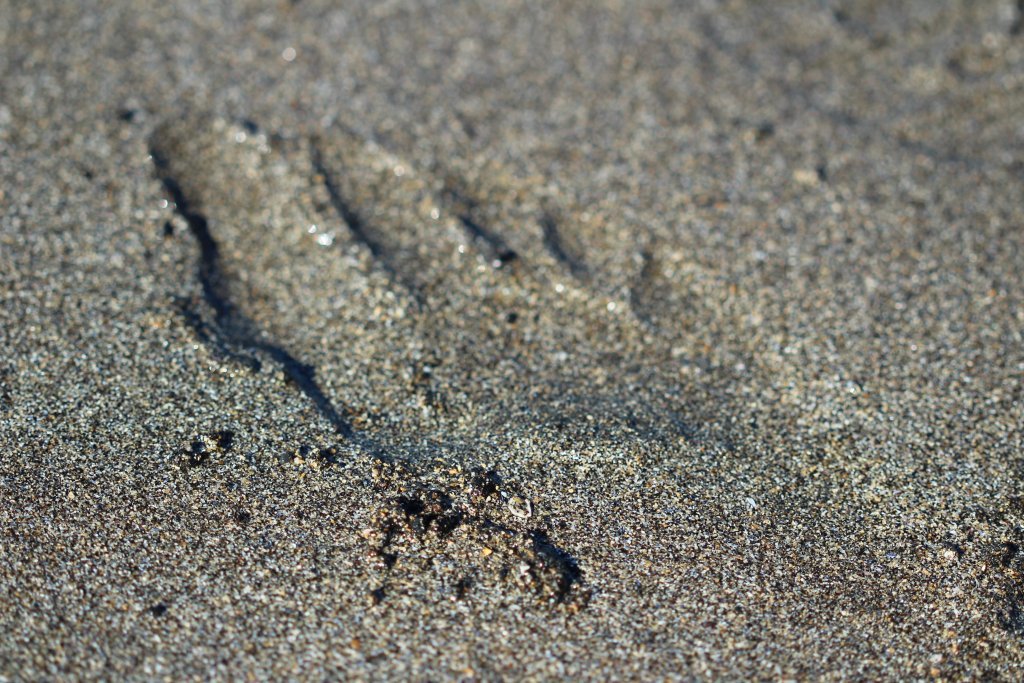 img_5533.jpg