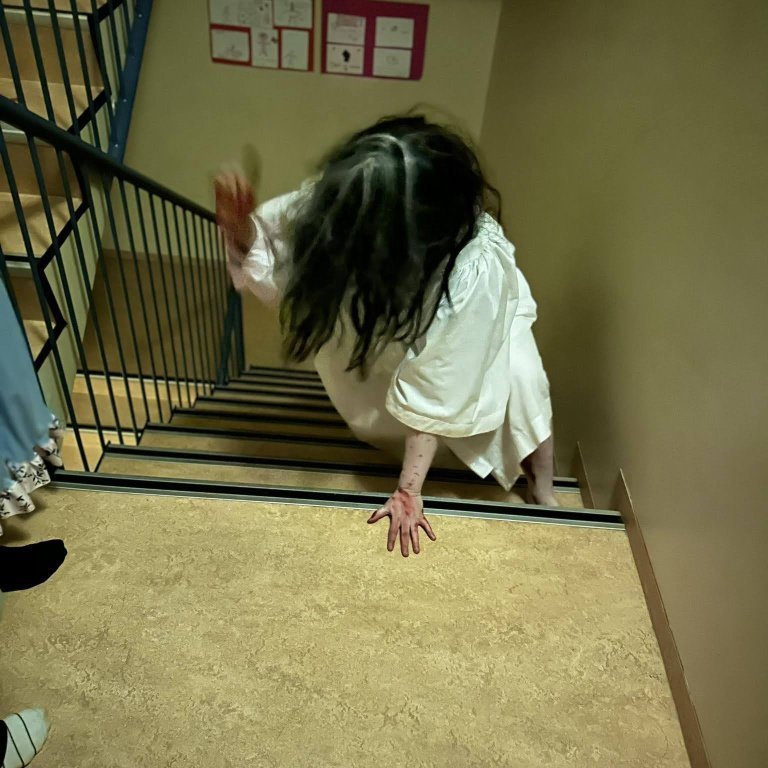 397084840_1323510598274084_2478200409999795508_n