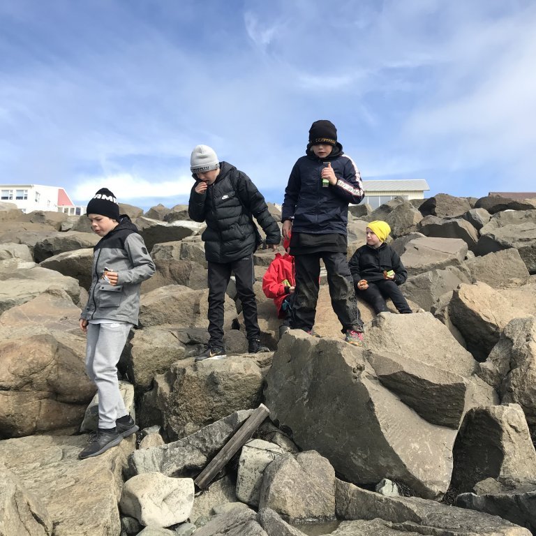 01e447f1-4696-460d-869d-1d4b24d5148c