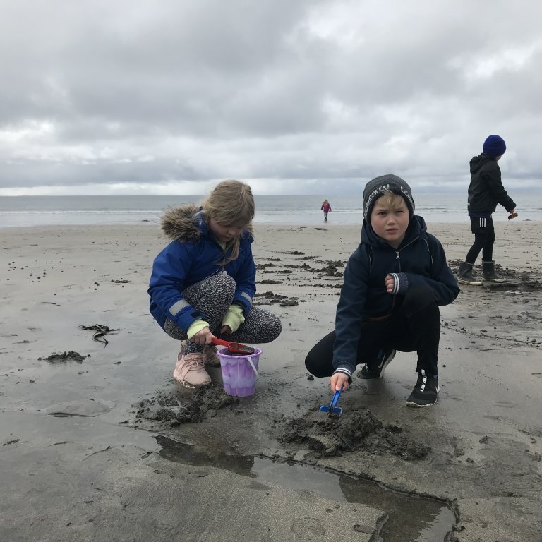 40d6b410-9b6c-476b-bac9-395c47d3b4df