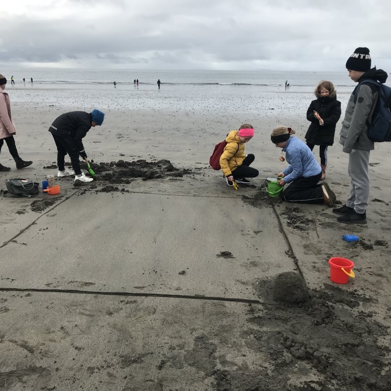 447afd38-1c08-43e9-b075-2bb63ec3d79b