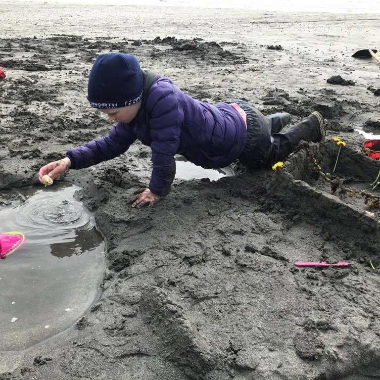 5276d1c1-994c-4ca1-916a-82cd96db901d