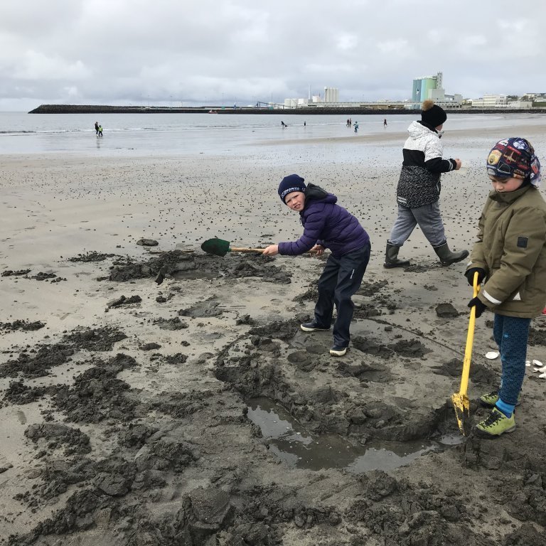 62220d66-6427-499a-ba18-33a867c5ac91