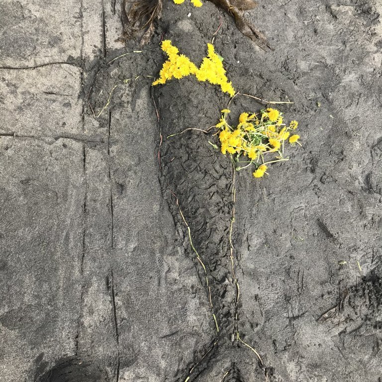 66c2d3a9-96b0-4c50-934c-995be7243342