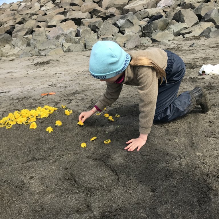 68a5a24e-90d5-45ed-97ee-5710541f014b