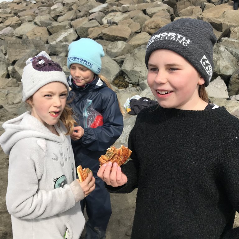 8d6ceb89-52f6-422f-b83c-67c936b5eb90