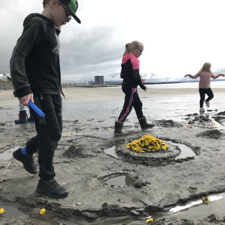 a55d3b50-b05e-464b-9a2a-1a84021a30b5