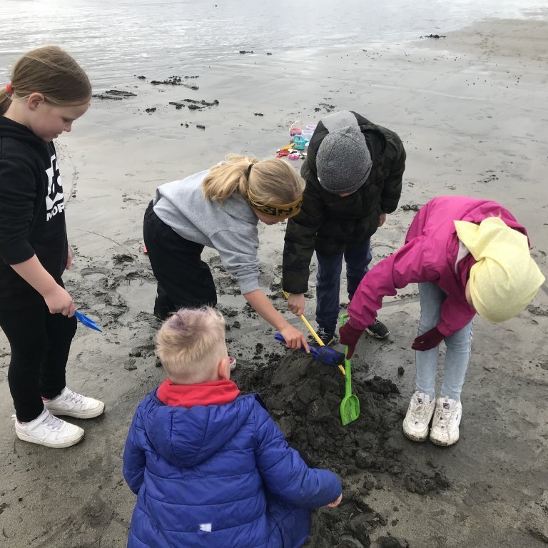 b4fb6979-bf8c-424f-a59a-c3c5bb0c9db7