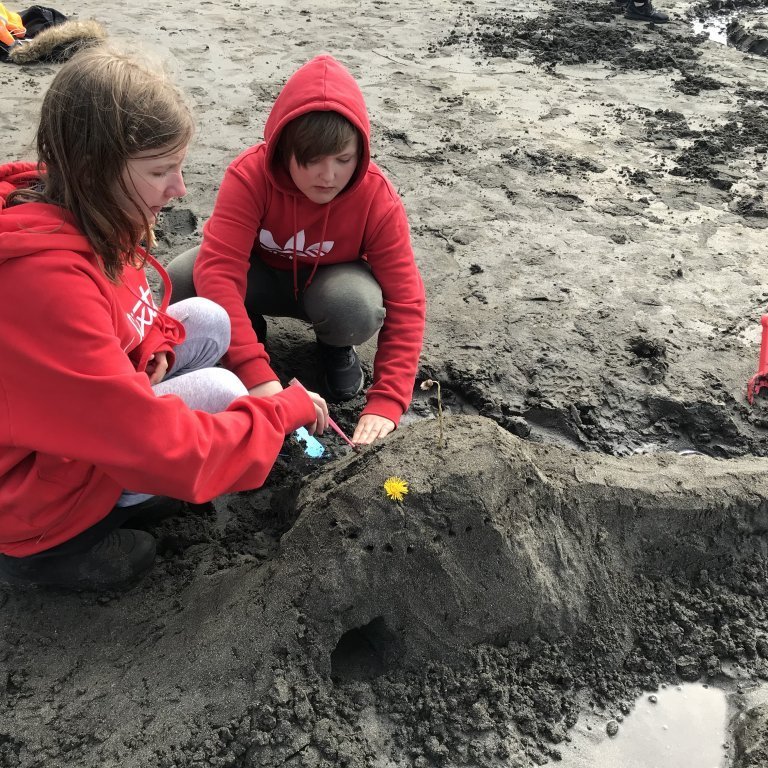 beb260b5-dfcf-4f98-9196-1a08d6fe6b7a