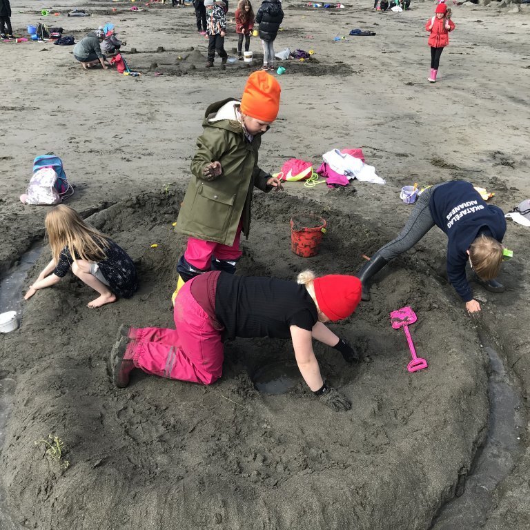 d5c8852a-b86c-491b-ba33-fac692ba3baf