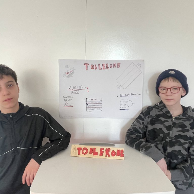 image-20250404-083130-d0b90230