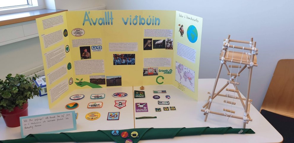 Fræðslusmakk 10. bekkinga