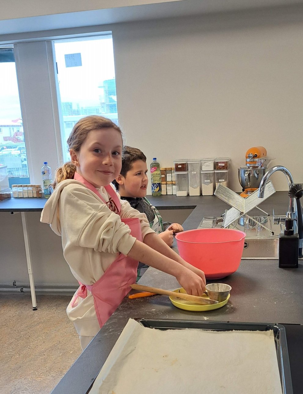 Endurnýjuð kennslurými opna