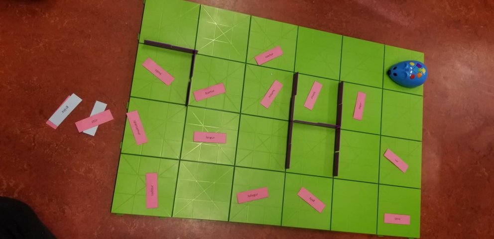 Nemendur forrituðu þessa mús til að para saman andheiti og samheiti.