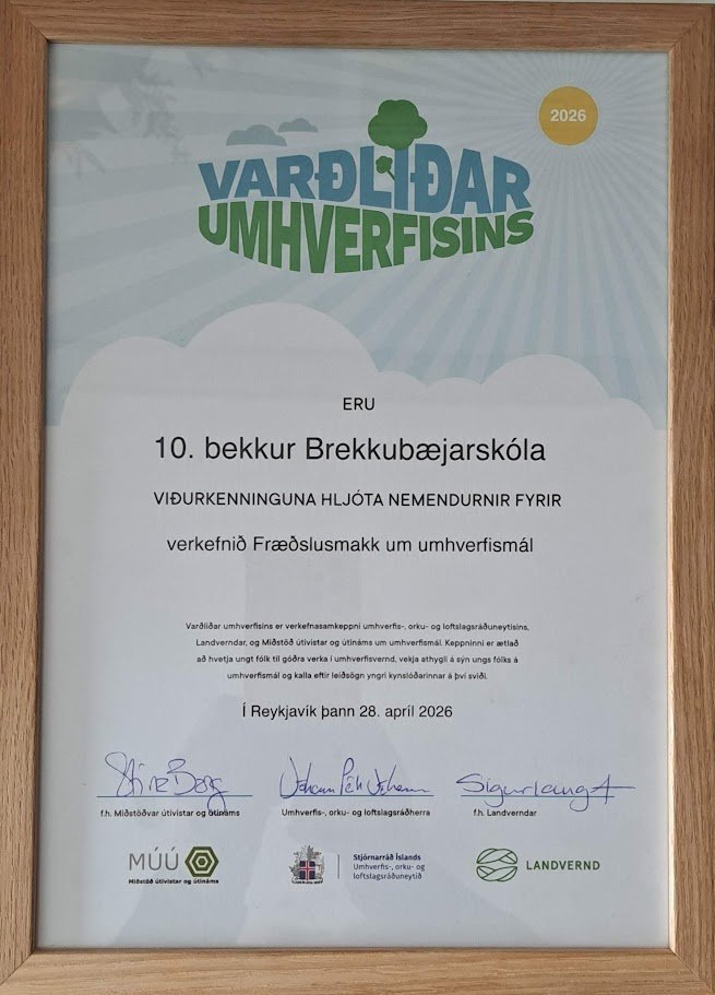 Nemendur 10.BS eru Varðliðar umhverfisins 2028