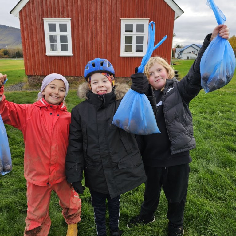 Kartöfluuppskera í 4.bekk