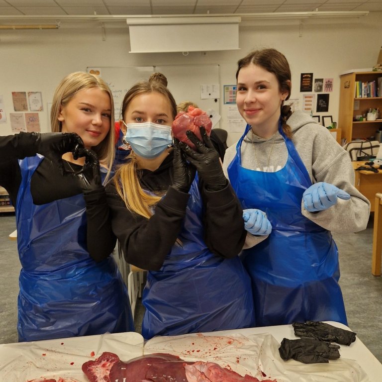 9.bekkingar í blóðugu verkefni.