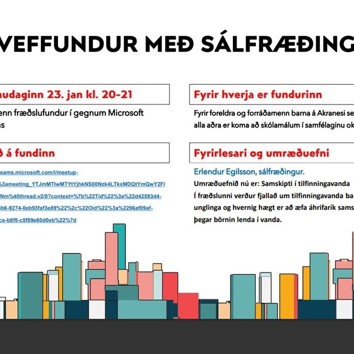 Veffundur með sálfræðingi