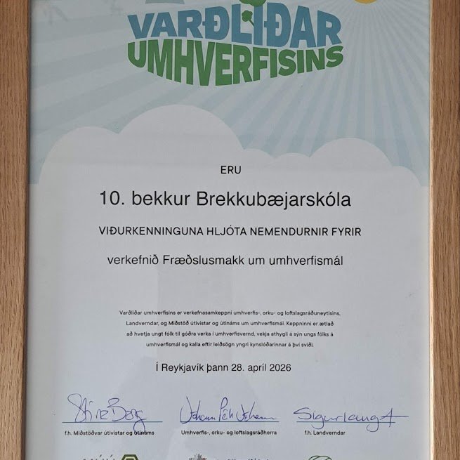 Nemendur 10.BS eru Varðliðar umhverfisins 2028